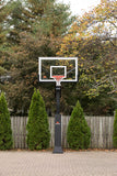 GOALRILLA CV60 60" In-Ground
